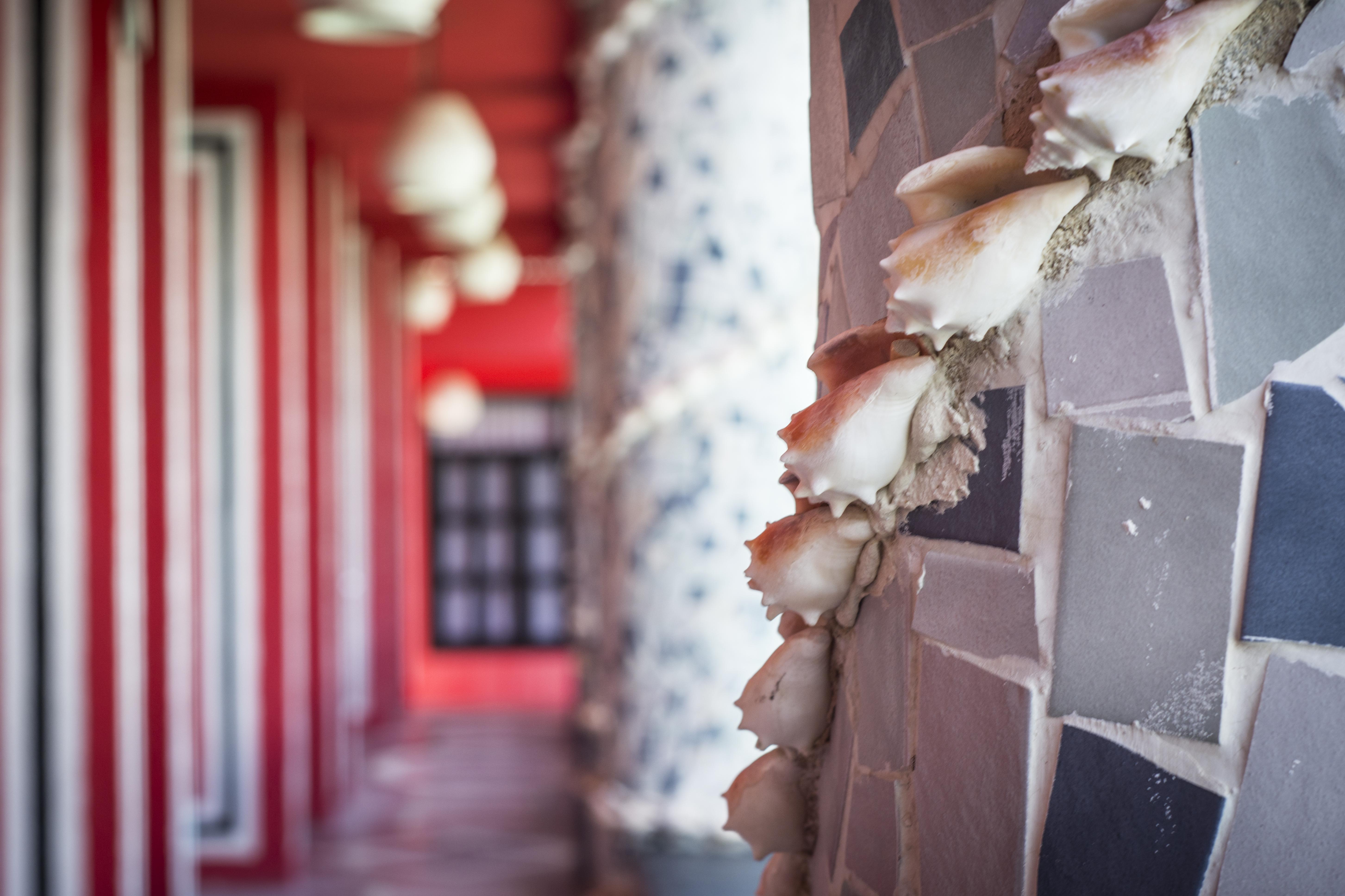 Maya Del Mar On Fifth Avenue Playa del Carmen Eksteriør bilde